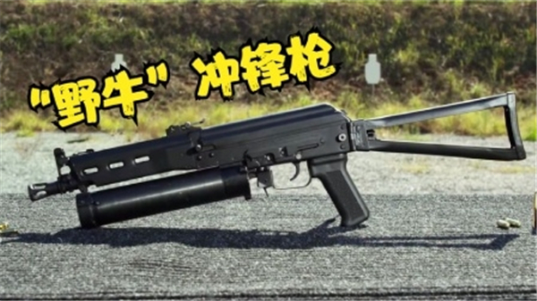 三角洲行动野牛冲锋枪怎么改装 三角洲行动野牛冲锋枪最强搭配